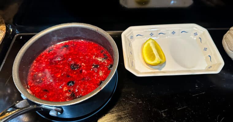 Homemade Mixed Berry Sauce (3 Berries)