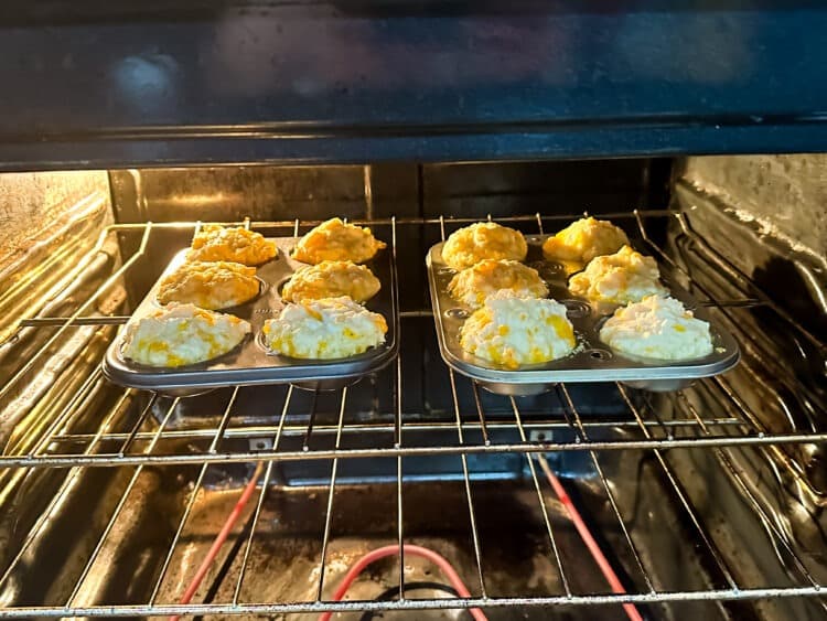 Baking Cheddar Bay biscuits